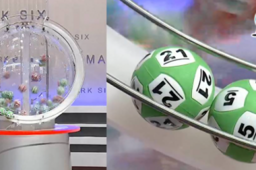 精准十一肖中特(精准十一肖中特免费长期公开)